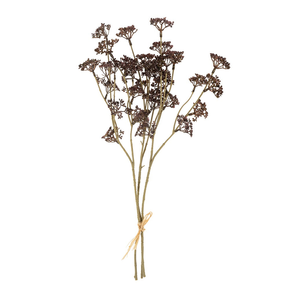Purple Meadow Grass