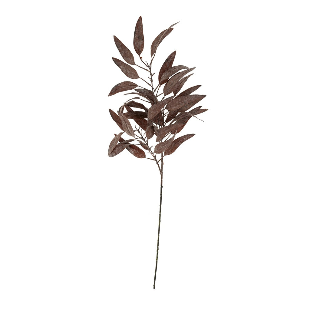 Smokeleaf Eucalyptus Stem