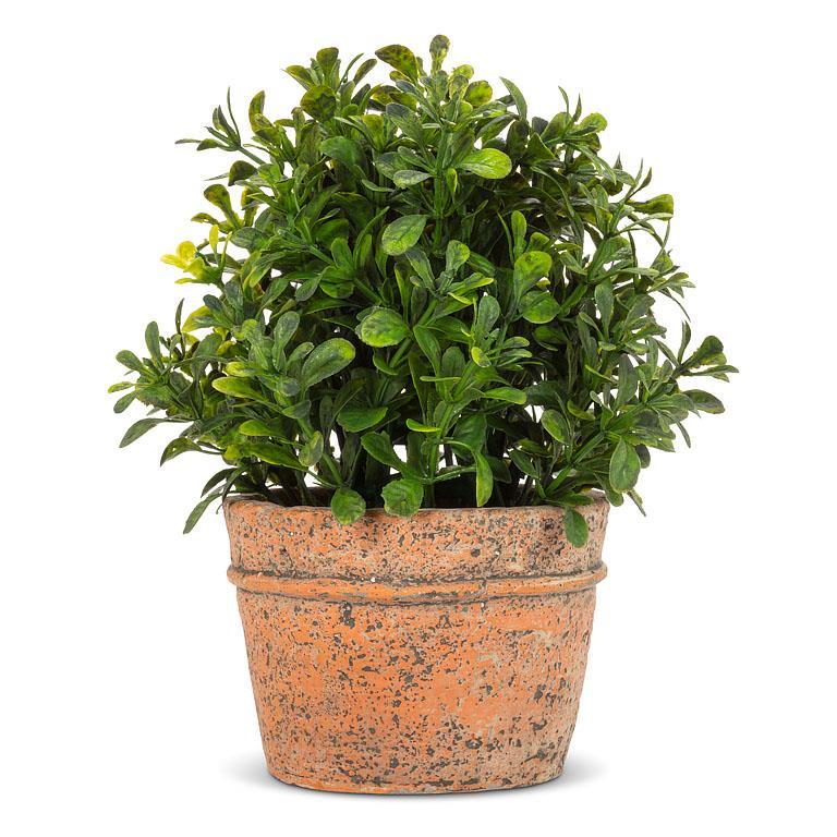 Faux Potted Boxwood