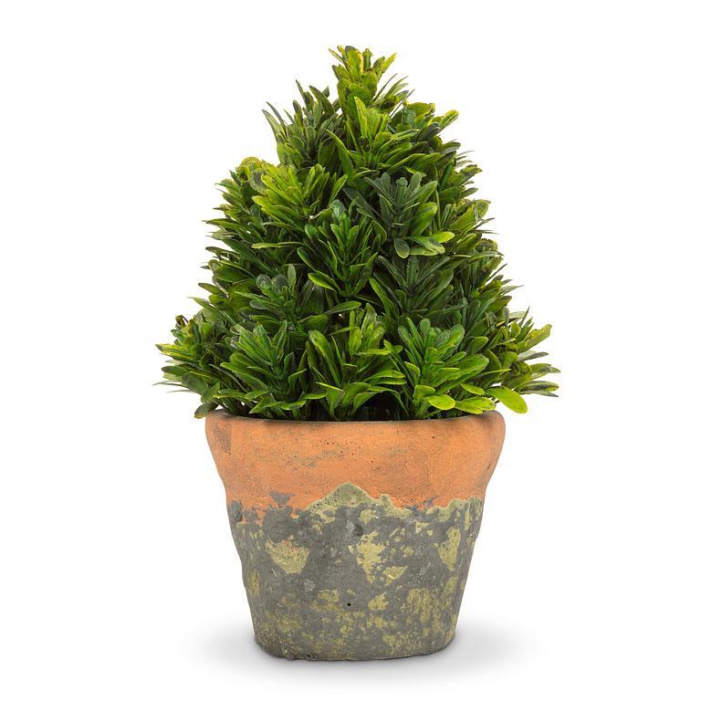 Faux Potted Cone Boxwood