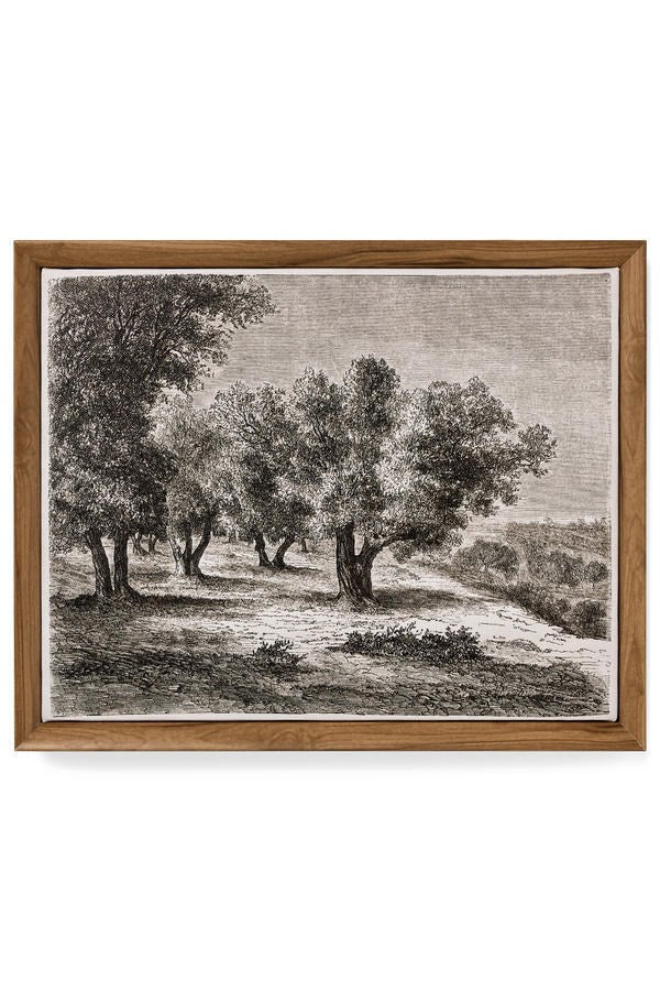 Olive Grove Landscape – Mini Framed Canvas