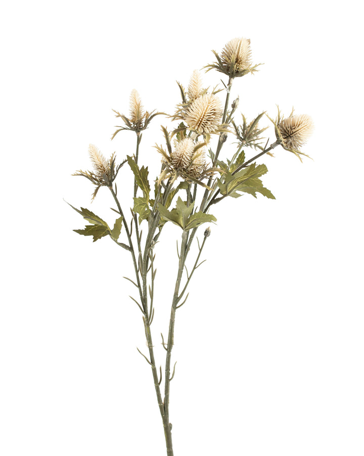 Ivory Thistle Spray