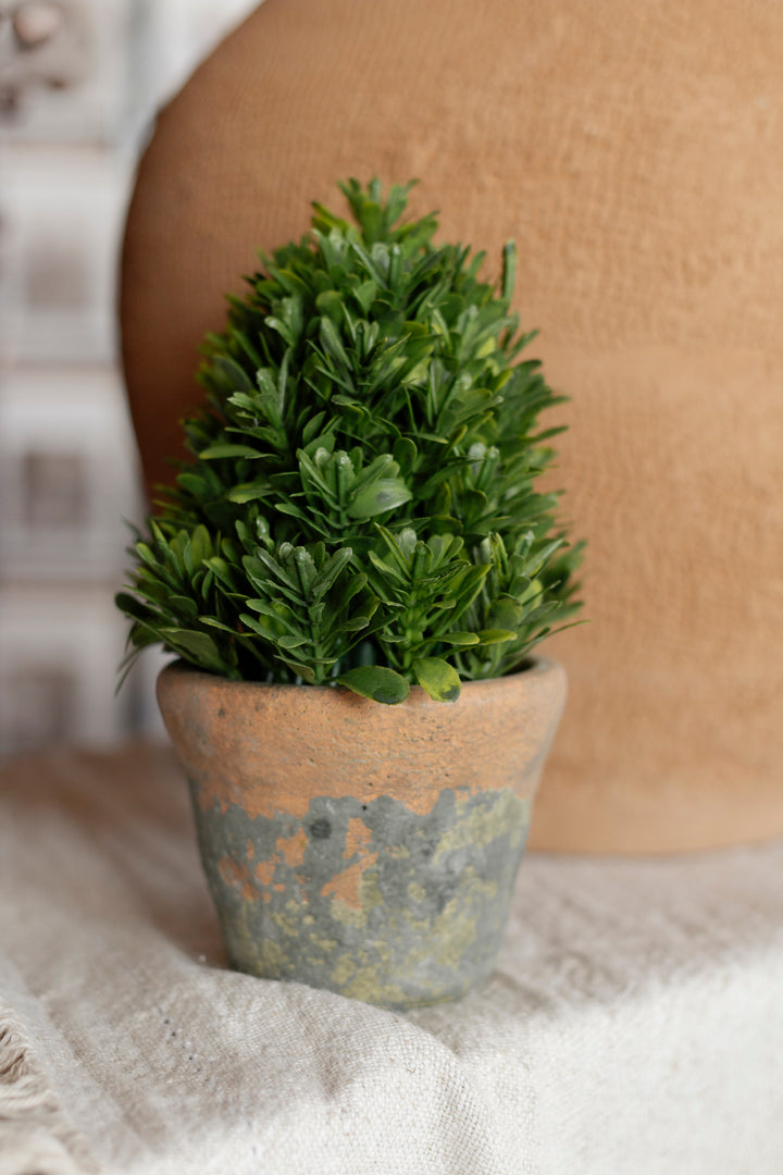 Faux Potted Cone Boxwood