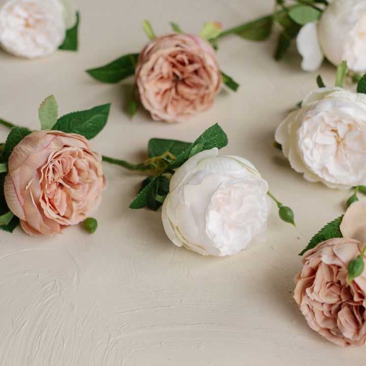 Cream English Garden Rose Stem