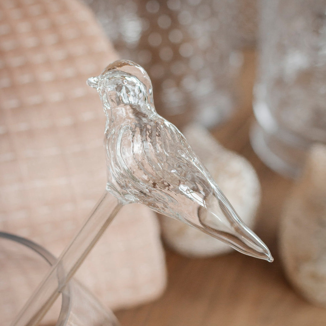 Glass Bird Watering Globe