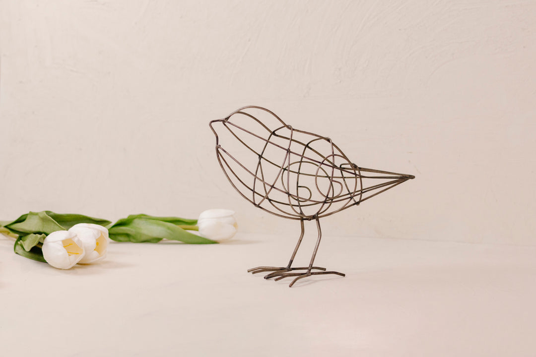 Wired Metal Birds