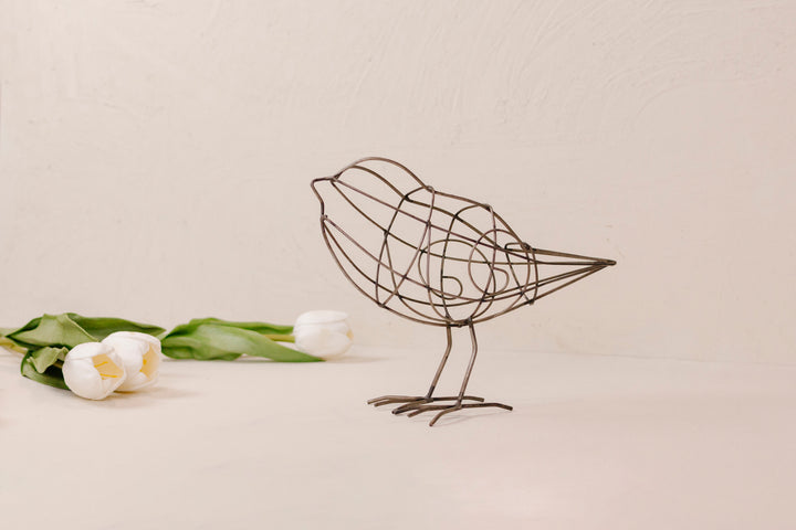 Wired Metal Birds