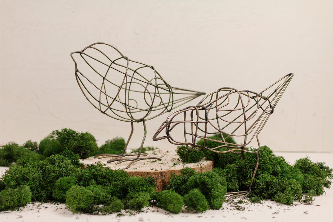 Wired Metal Birds