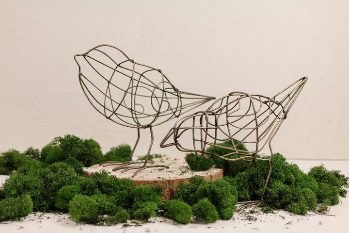 Wired Metal Birds