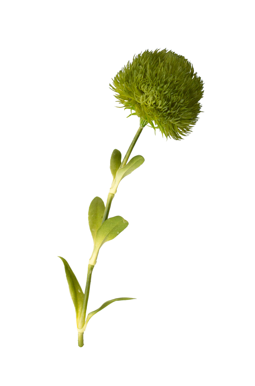 Green Fresh Touch Allium Stem