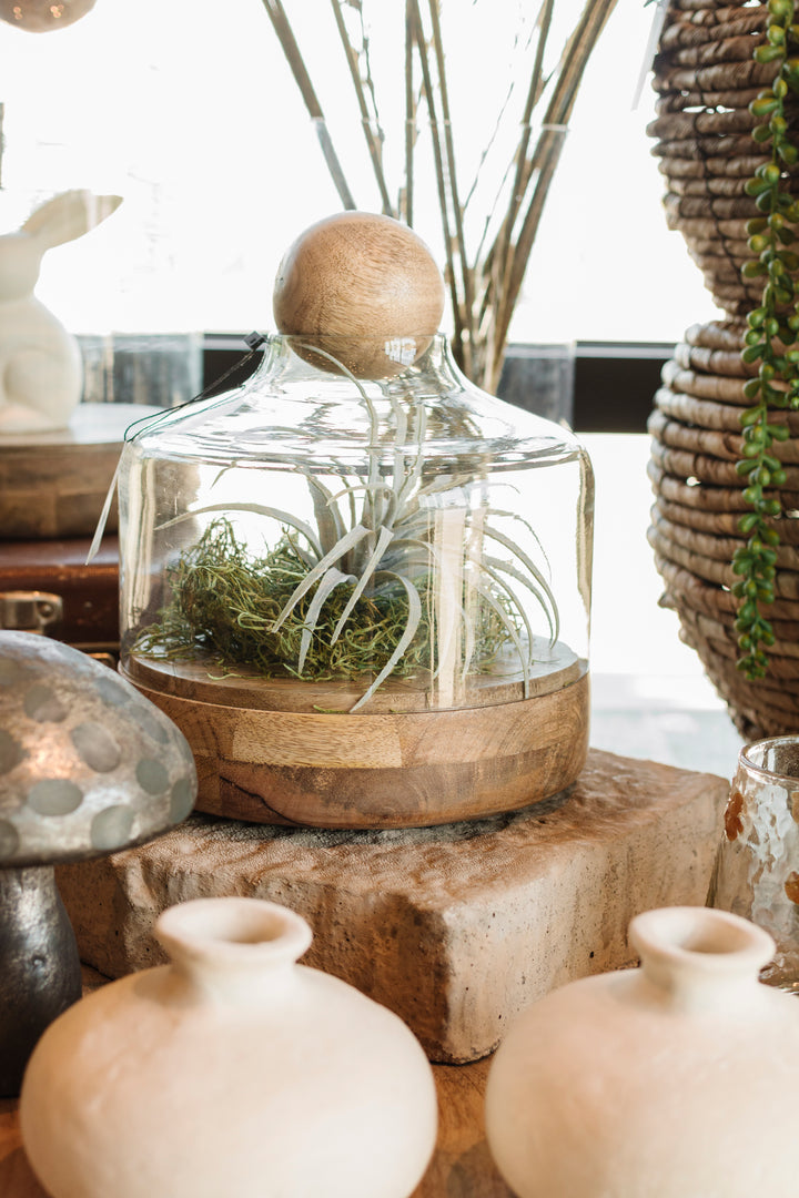 Glass Garden Cloches