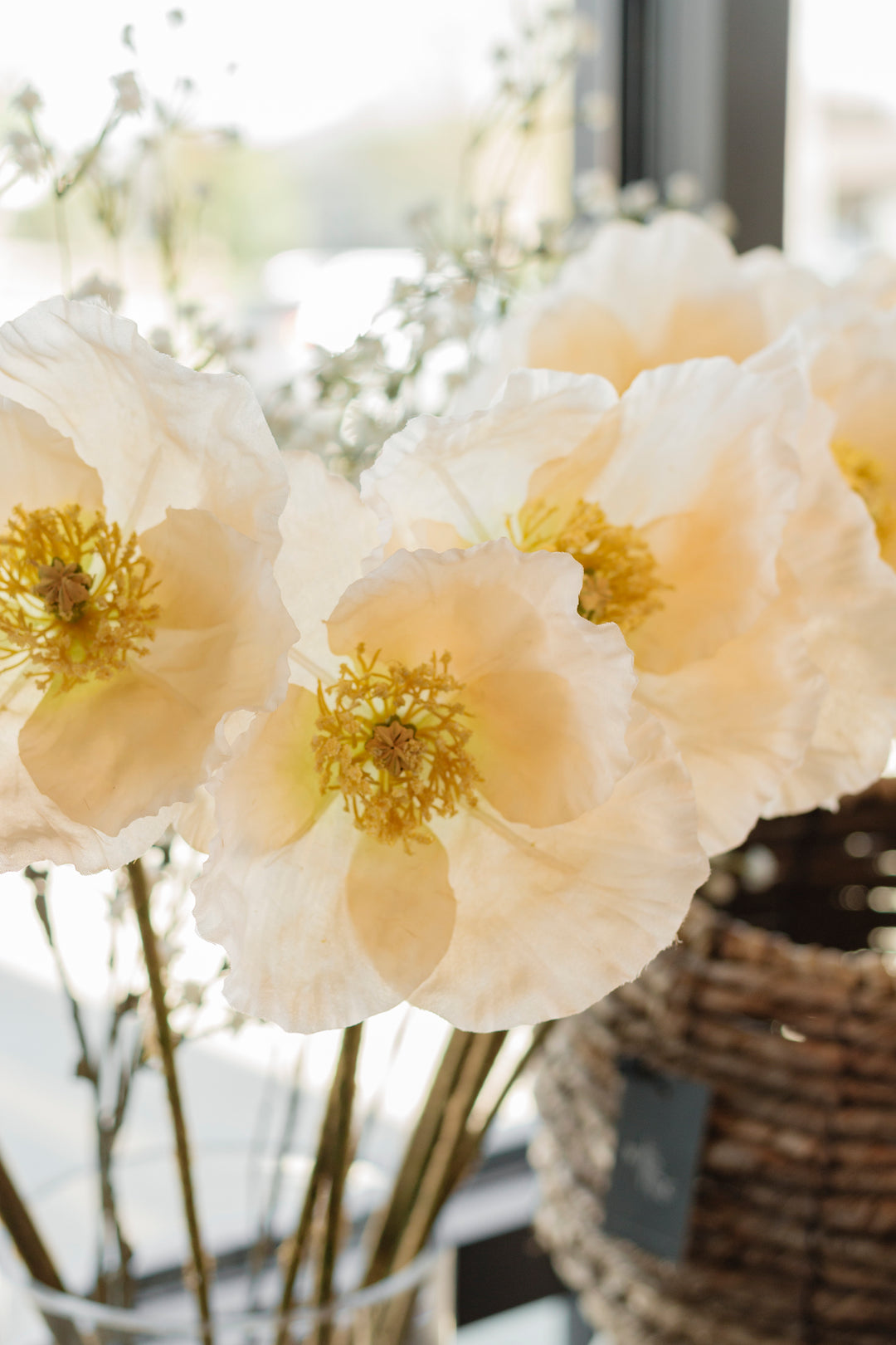 Cream Garden Poppy Stem
