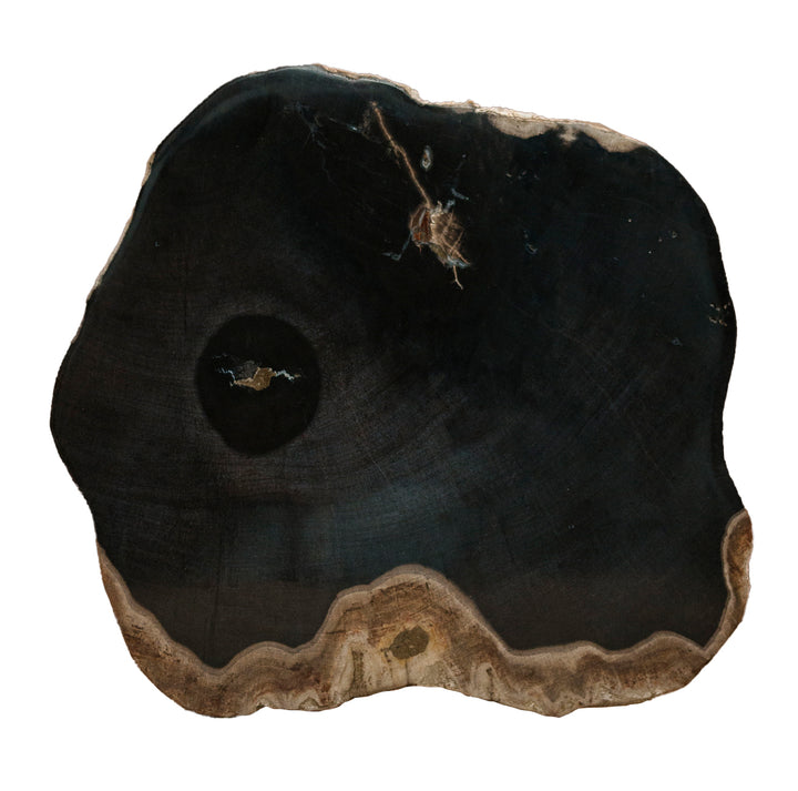 Round Petrified Wood Serving Board