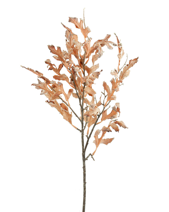 Oak Leaf