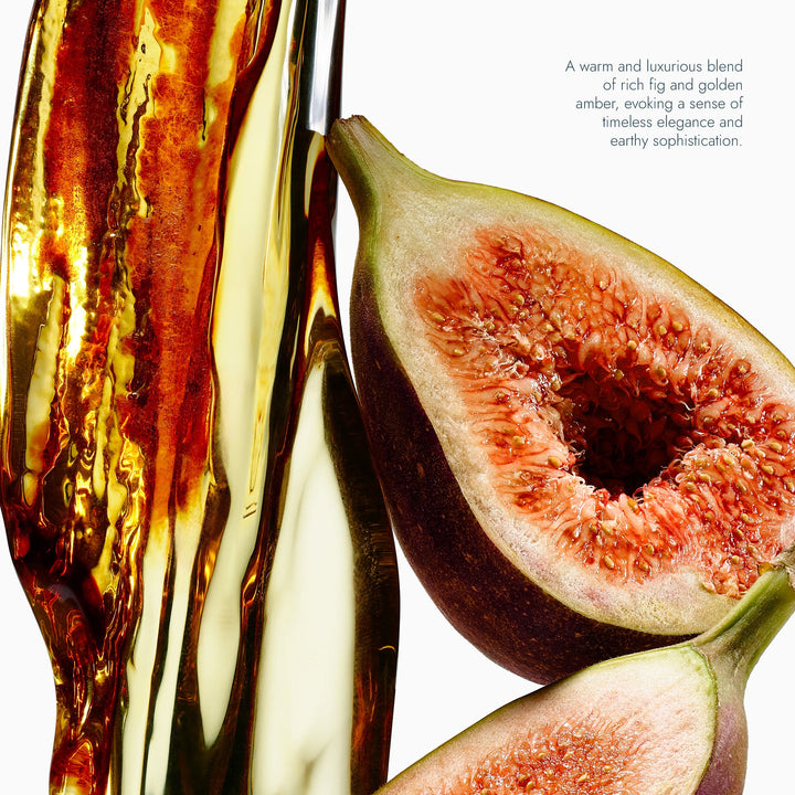 Fig & Amber Body Wash