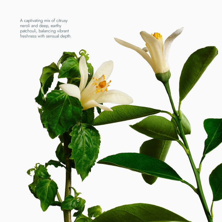 Neroli & Patchouli Body Wash