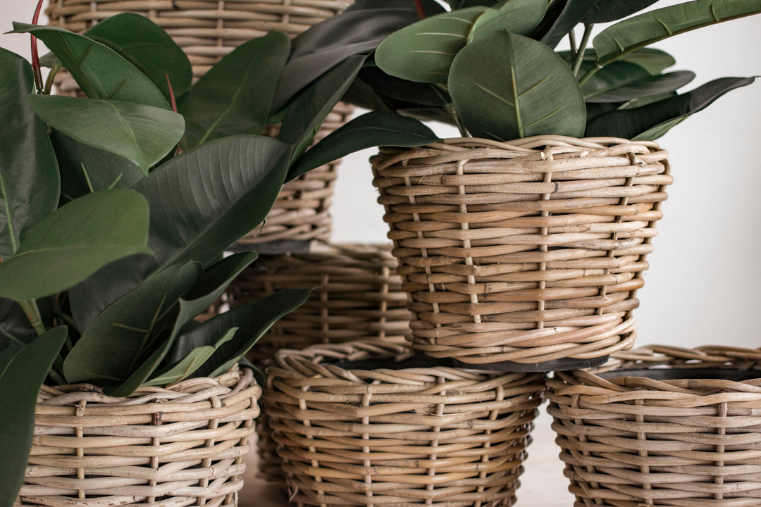 Planters