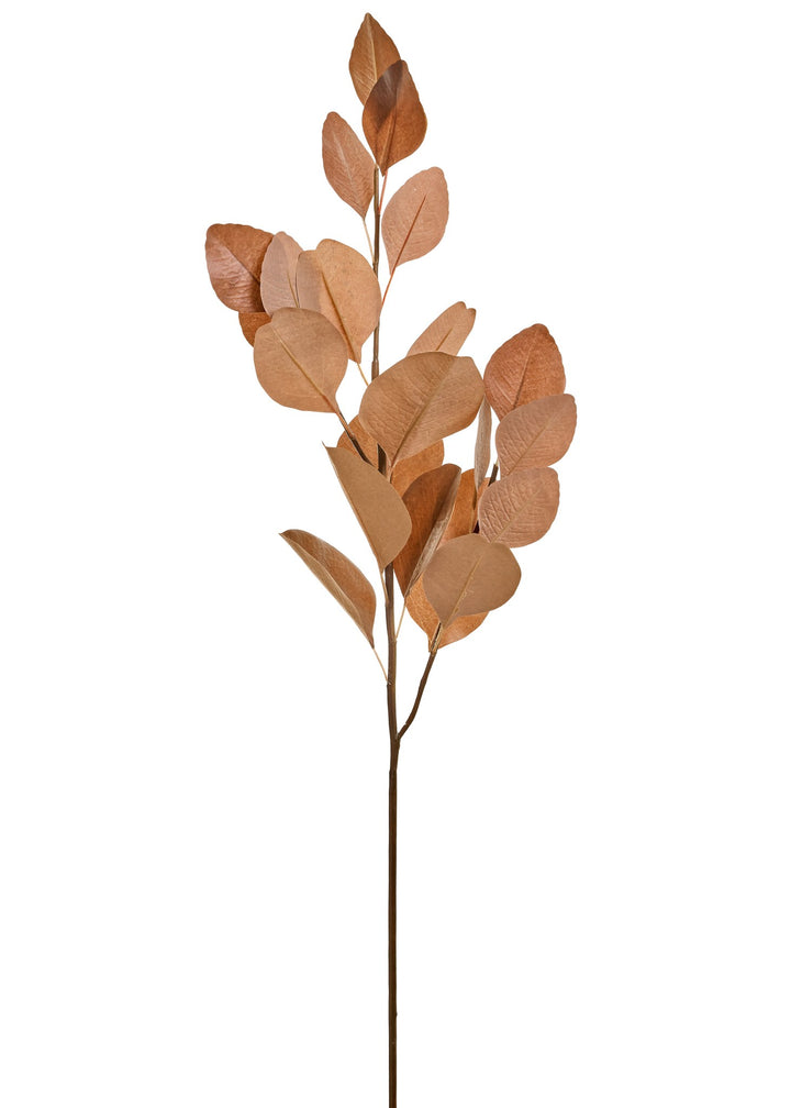 Caramel Eucalyptus Branch