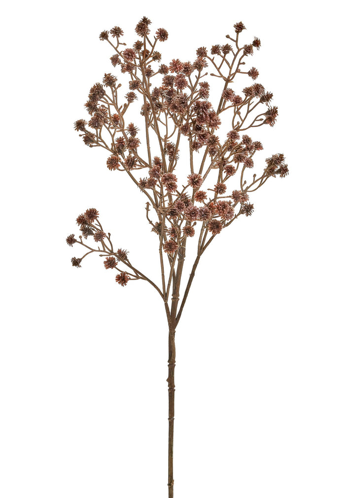 Thistle Bloom Stem