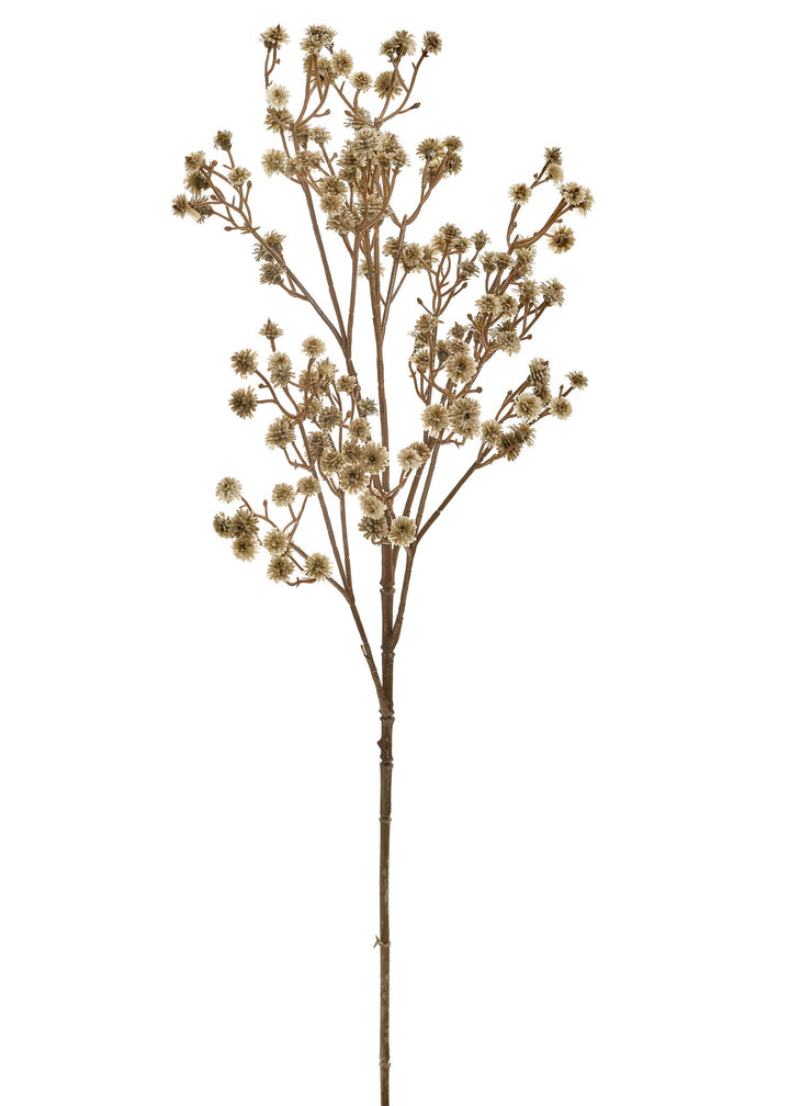 Thistle Bloom Stem