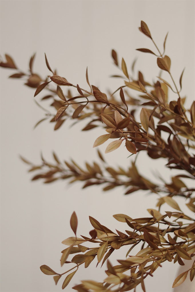 Harvest Willow Stem