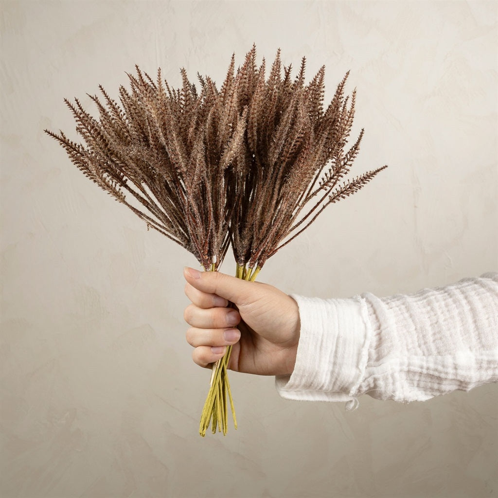 Prairie Pampas Bundle