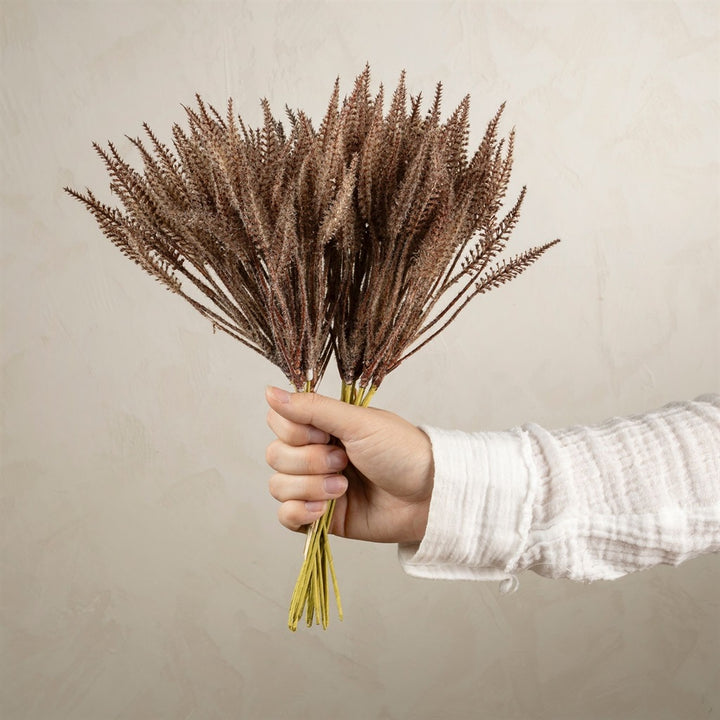 Prairie Pampas Bundle