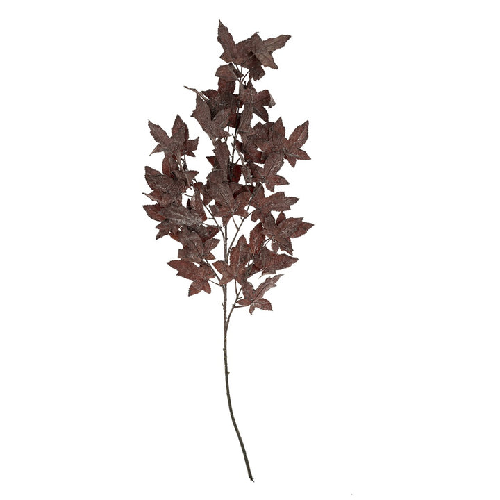 Marlow Maple Branch