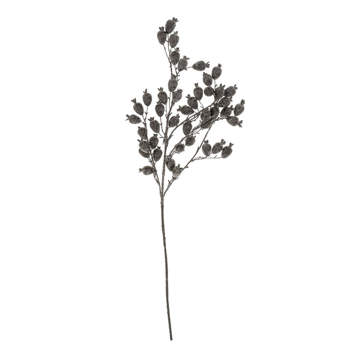 Fogberry Branch