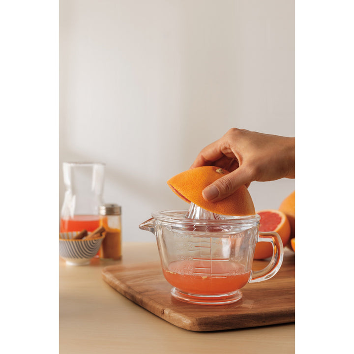 Glass Citrus Juicer