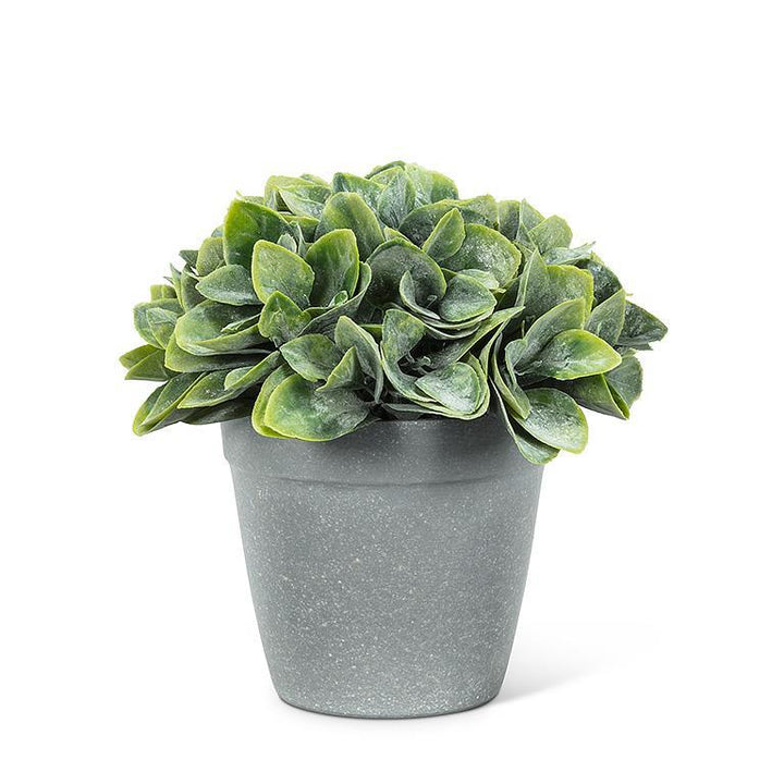 Faux Potted Spade Leaf Plant