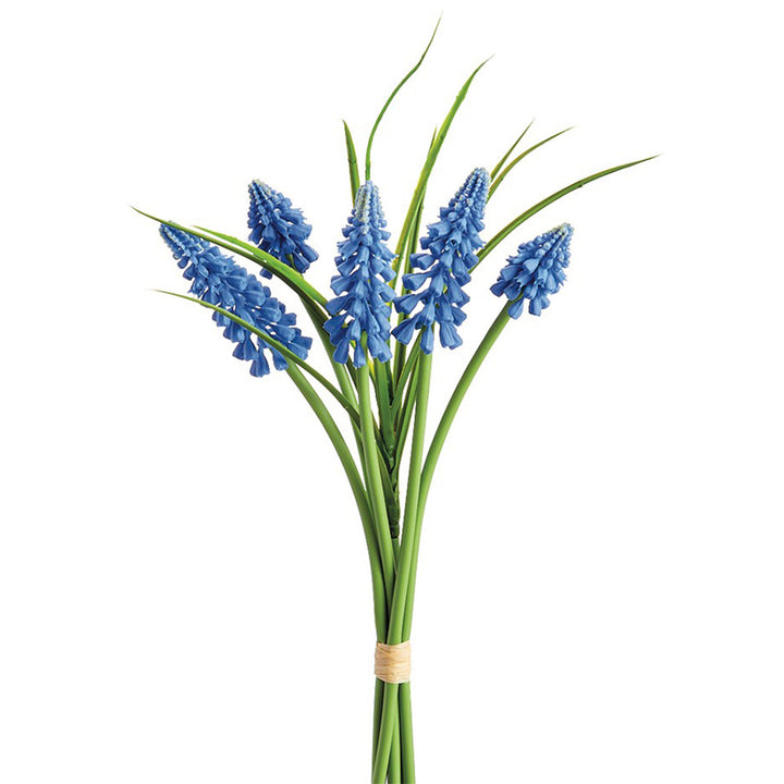 Spring Blue Muscari Bundle