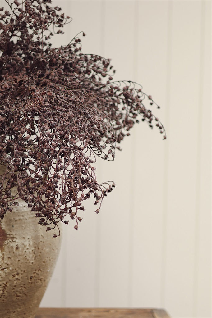Wild Berry Branch