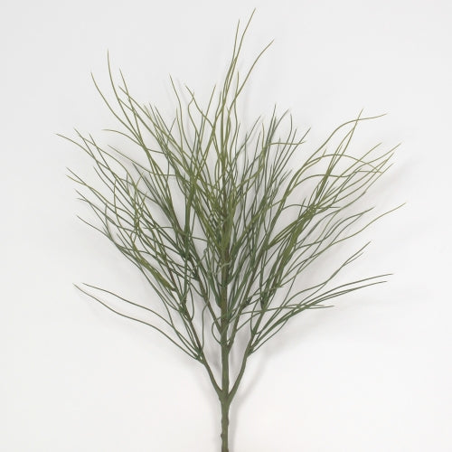 Acorus Grass Bush