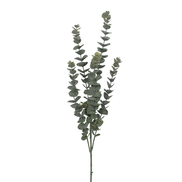 Airy Green Eucalyptus Stem