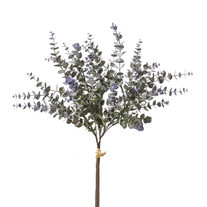 Soft Green Eucalyptus Bundle