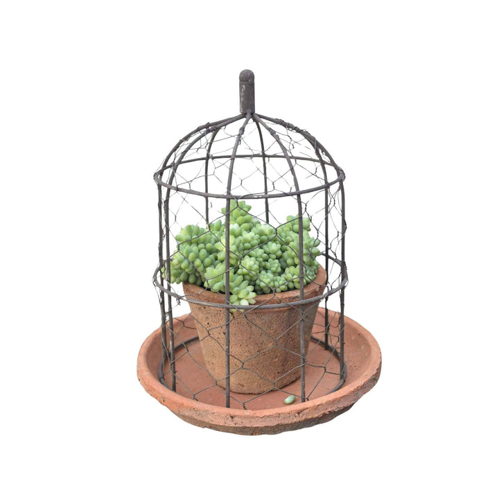 Redstone Cloche Planter