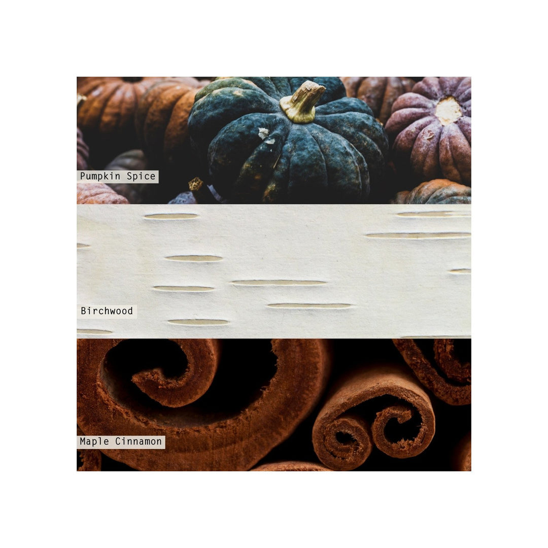 Midnight Pumpkin Candle in Antique Bronze Glass