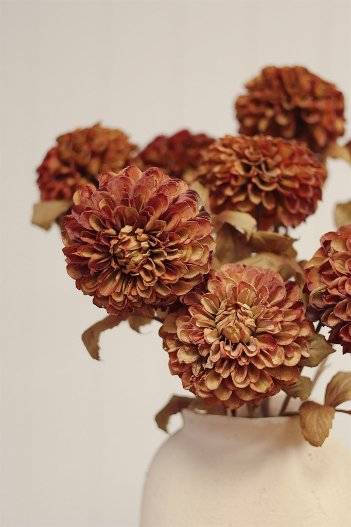 Bronze Pompon Dahlia