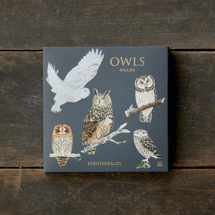 Woodland Owls Card Set