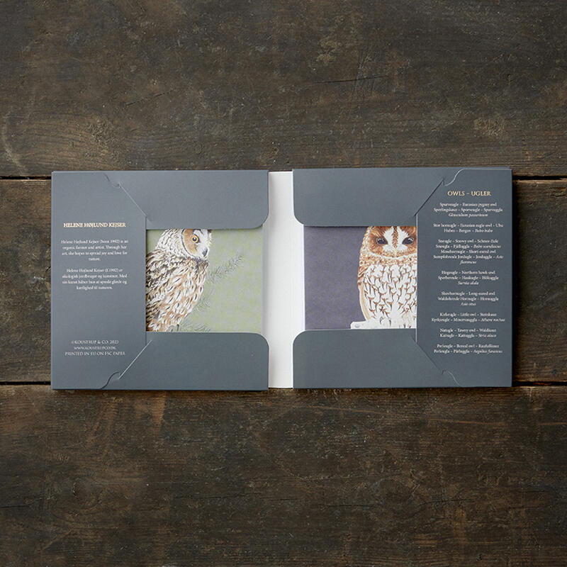 Woodland Owls Card Set