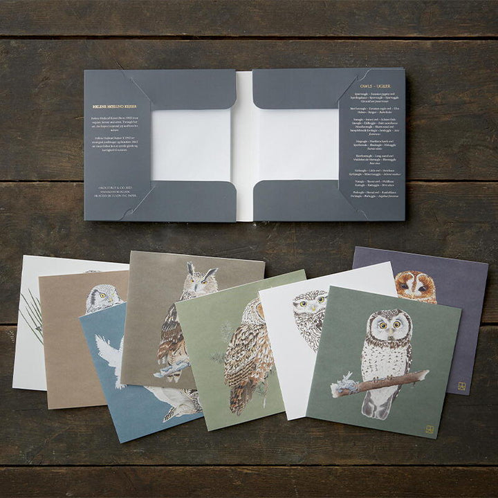 Woodland Owls Card Set