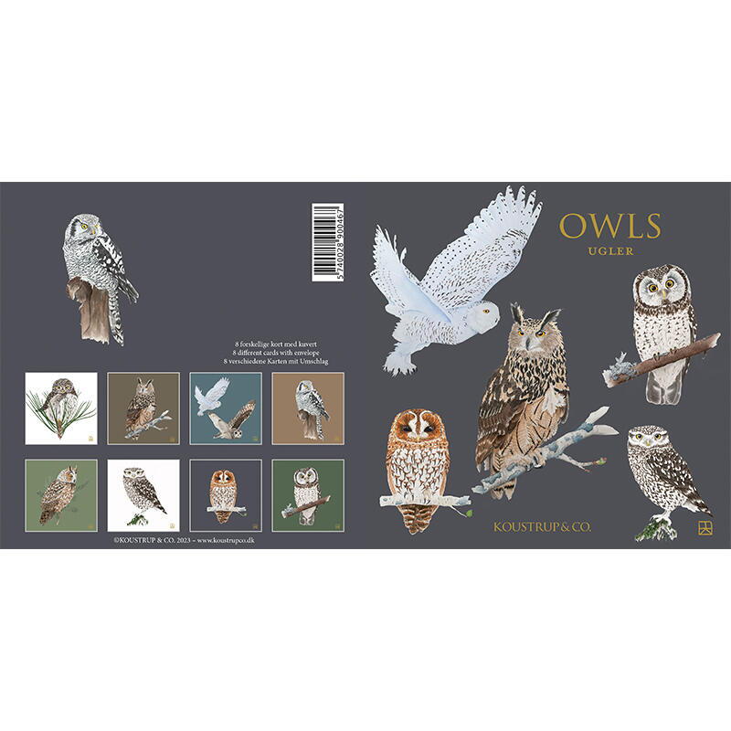 Woodland Owls Card Set