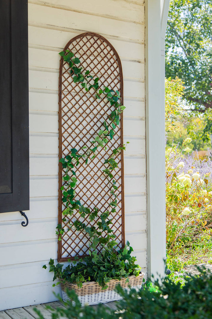 Willow Arch Garden Trellis
