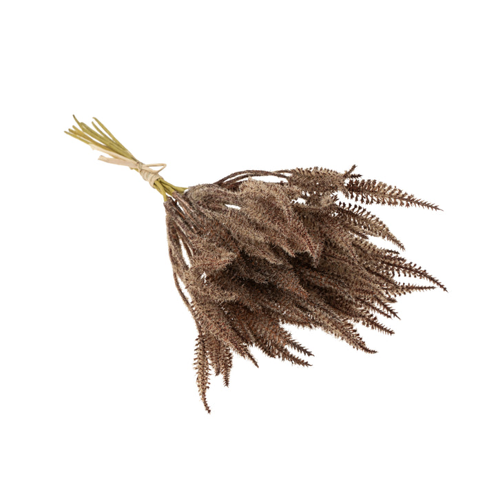Prairie Pampas Bundle