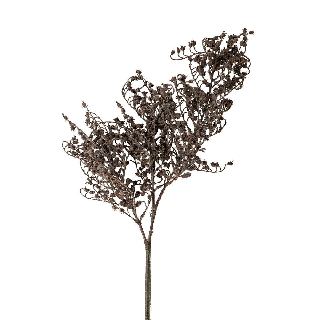 Wild Berry Branch