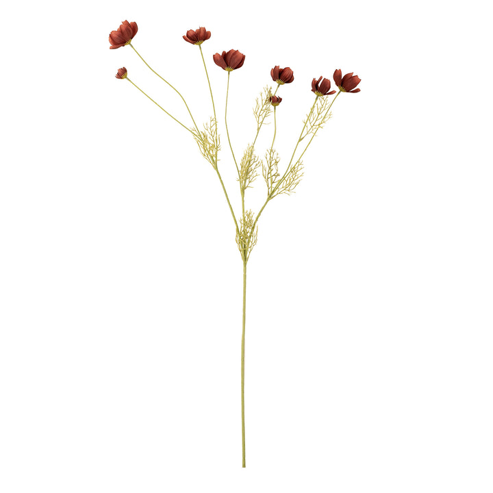 Rust Calliopsis Stem