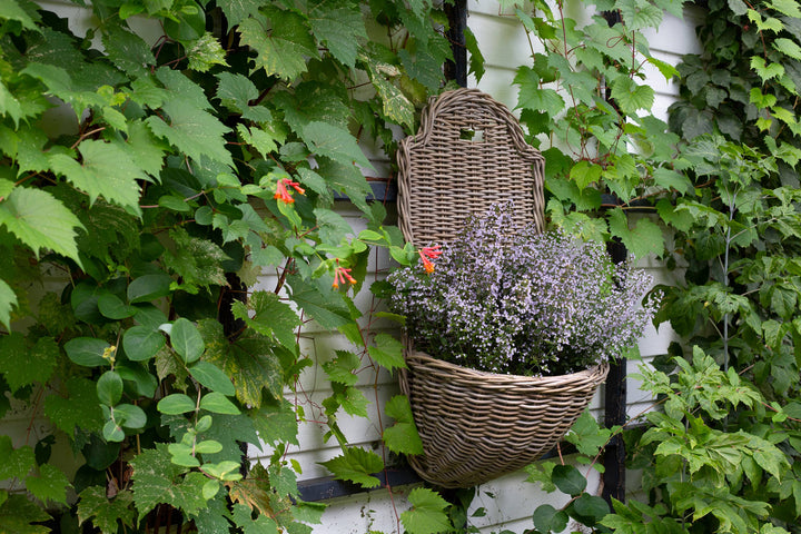 Gathered Kubu Wall Planter
