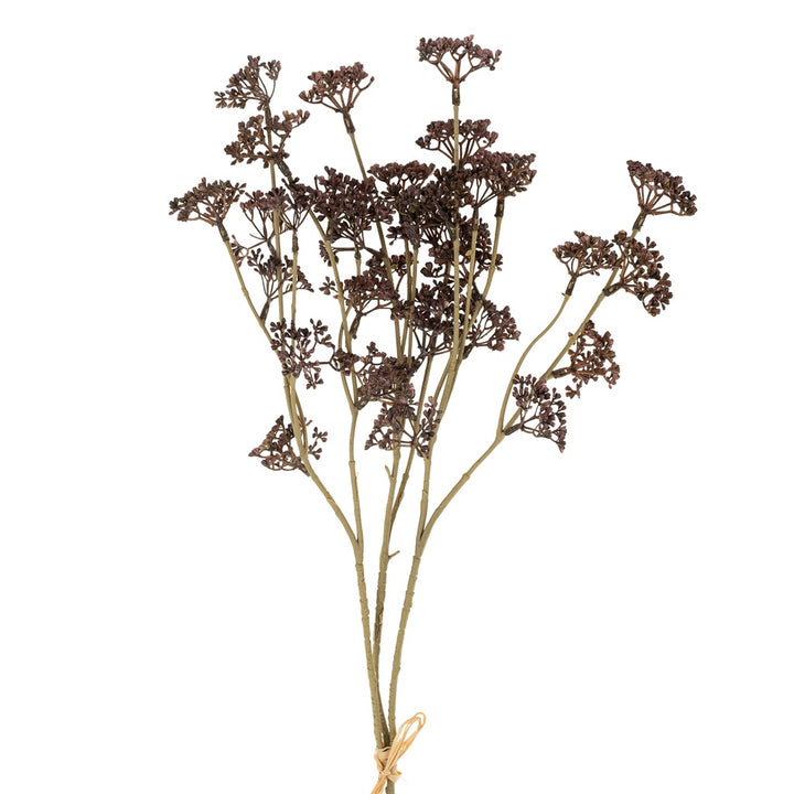 Plum Wildergrass Bunch
