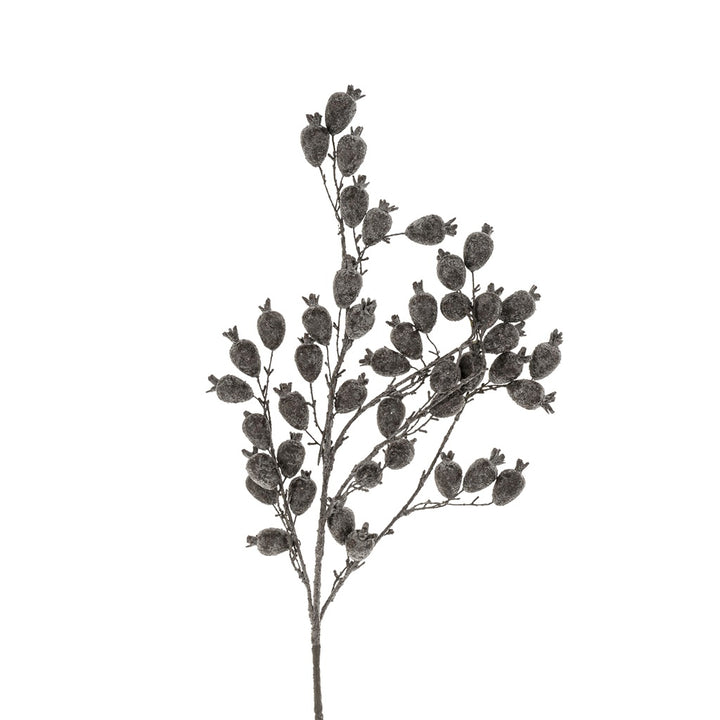 Fogberry Branch